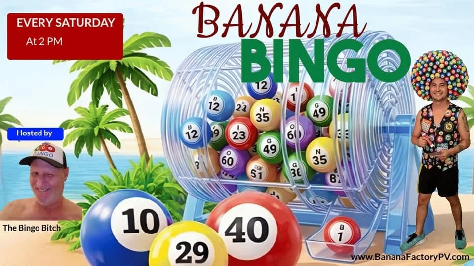 Saturday Bingo