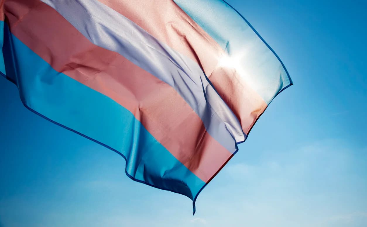 Long Island Transgender Experience (lite)