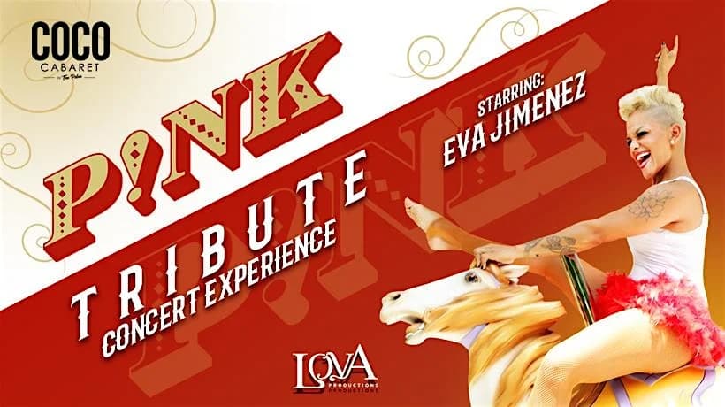 Pink – The Concert Experience