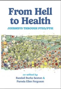 From Hell to Health: Journeys Through Ptsd/ptsi with Pamela Ferguson