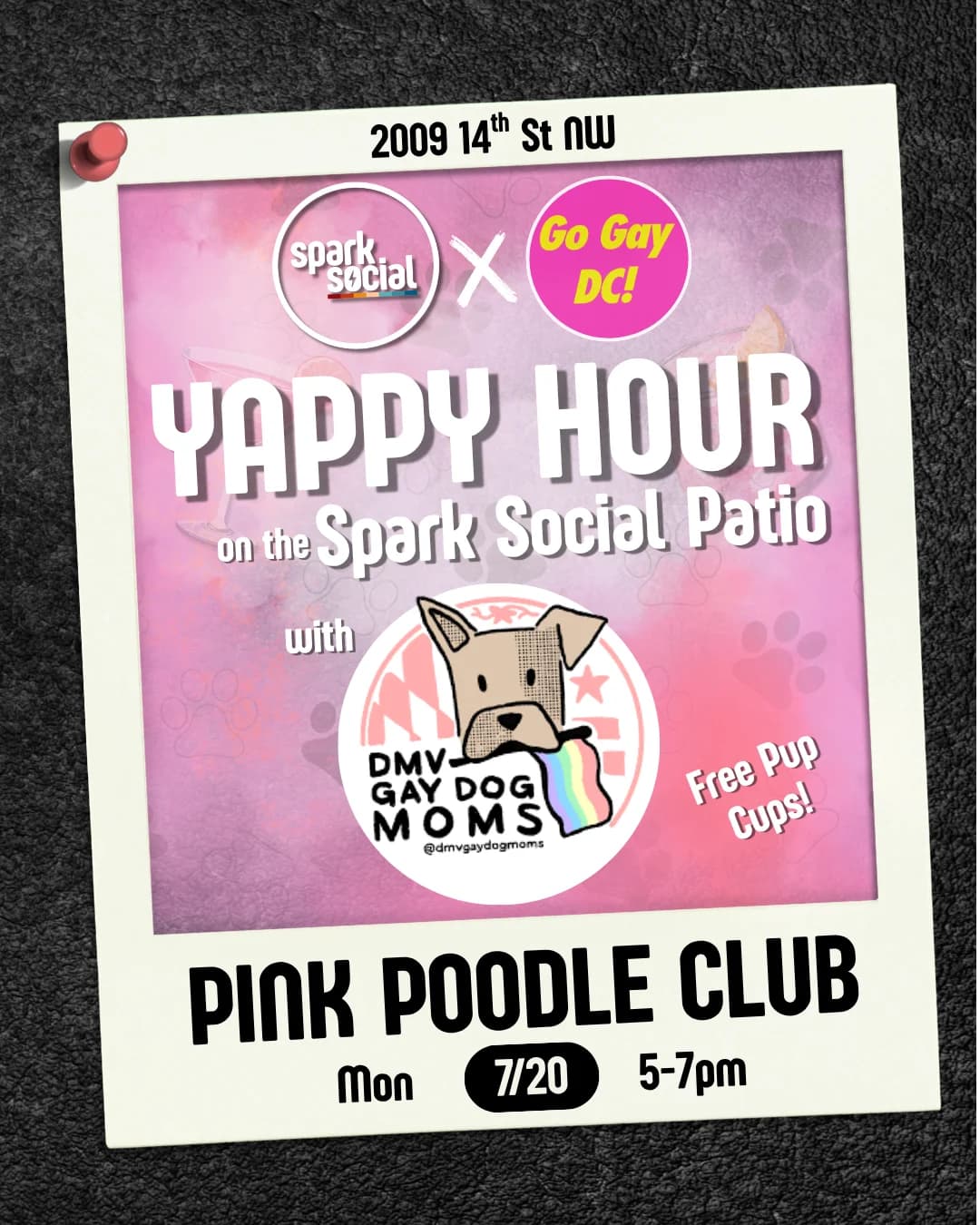 Pink Poodle Club