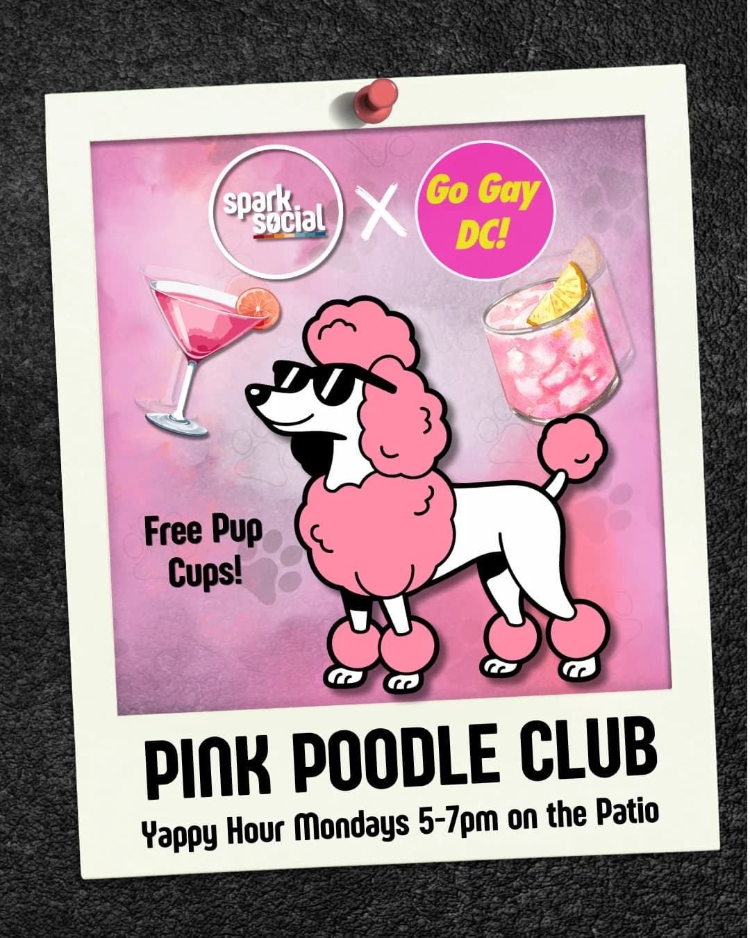 Pink Poodle Club