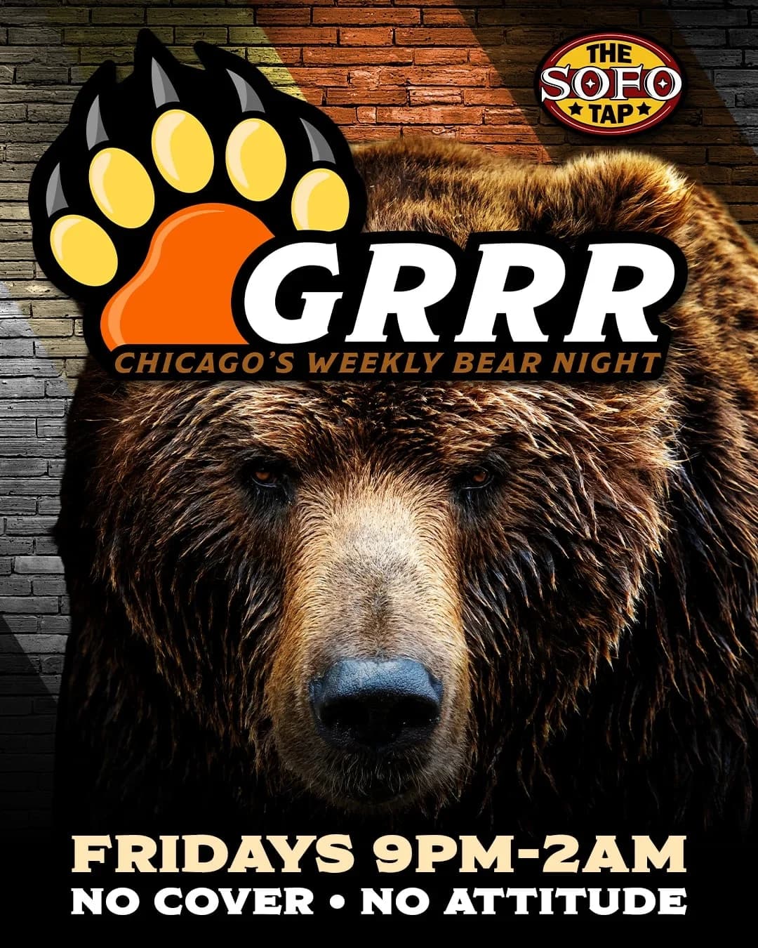Grrr: Chicago's Weekly Bear Night