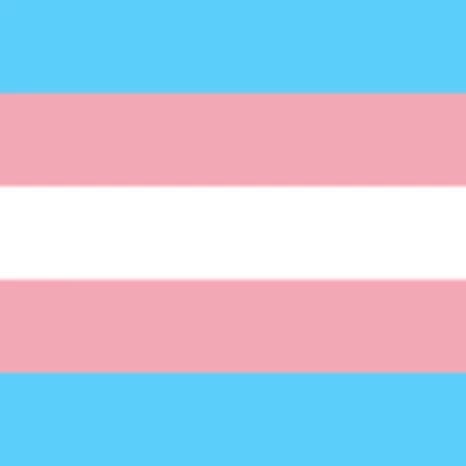 Intergenerational Trans Storytelling Group