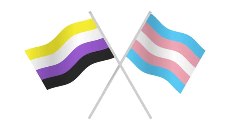 Online Trans & Nonbinary Adults 40+ Group