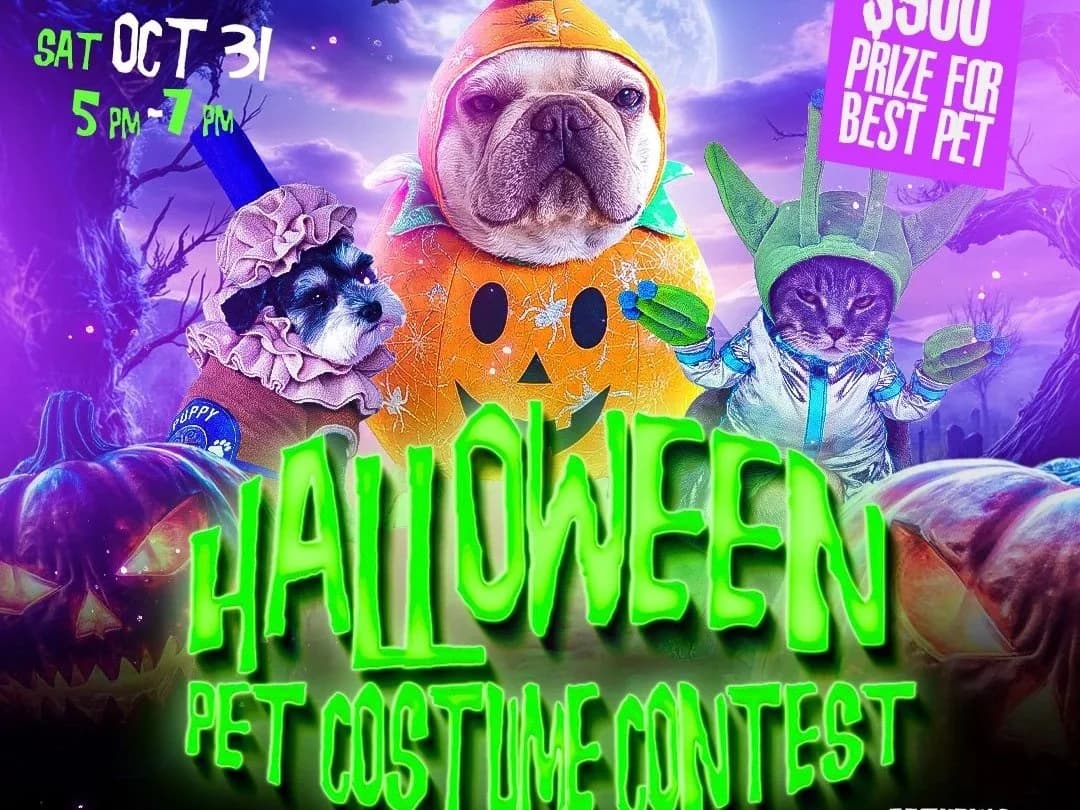 Halloween Pet Costume Contest
