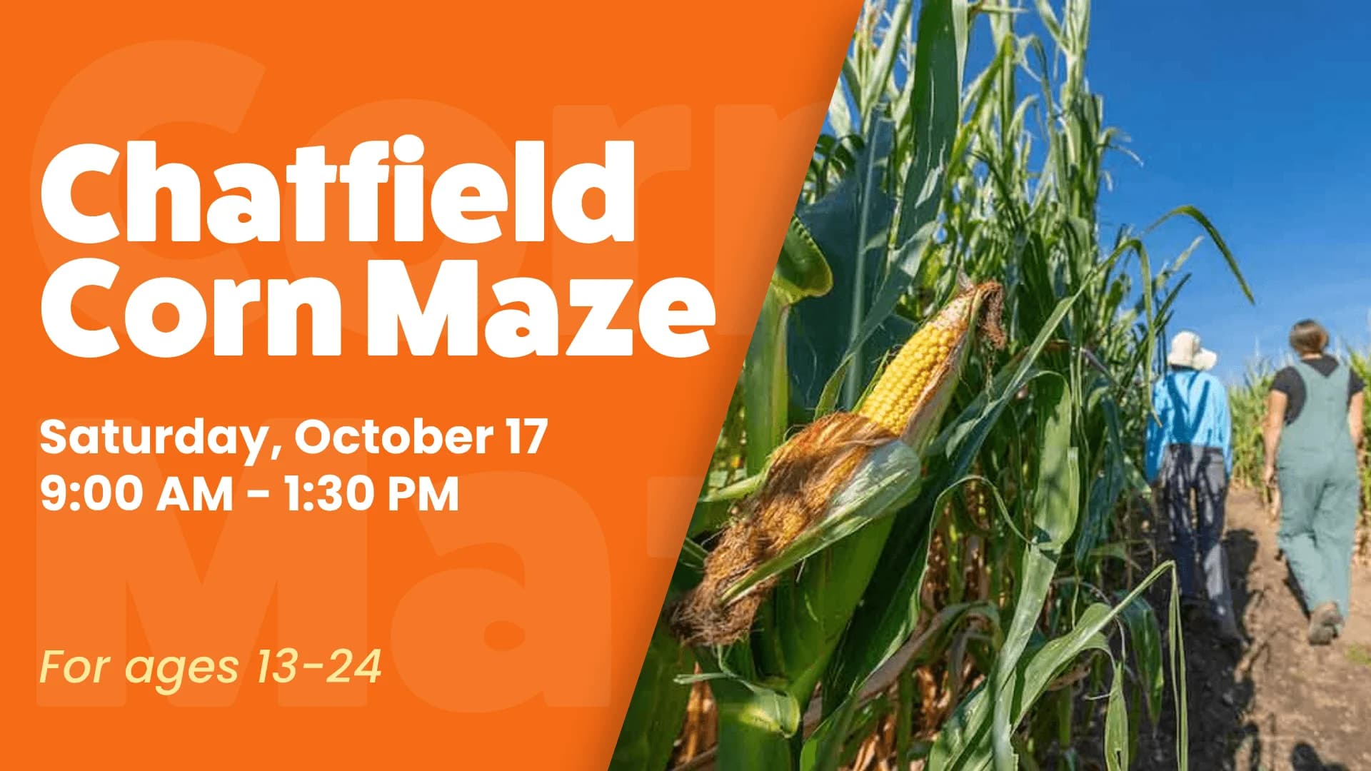 Rainbow Alley Corn Maze Trip at Chatfield Farms