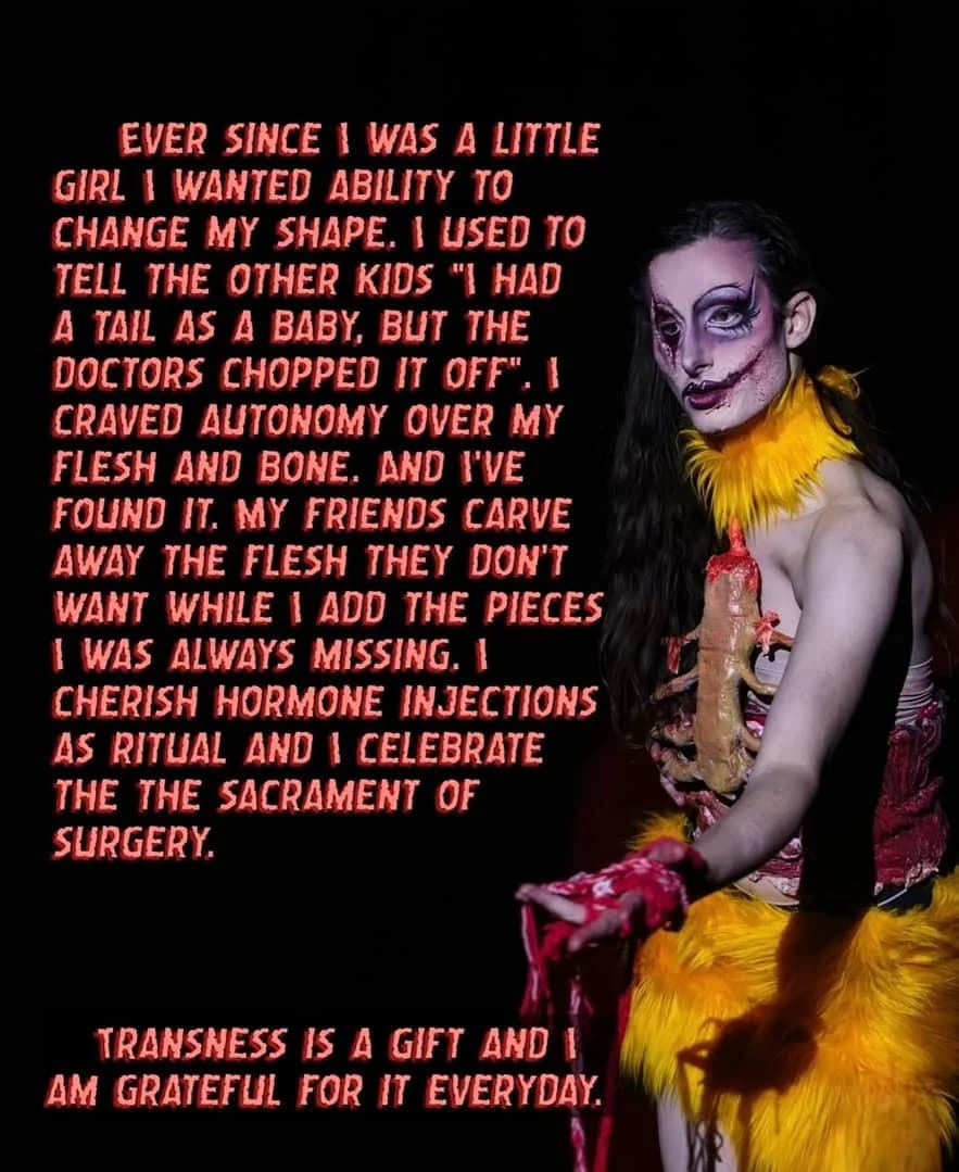 The New Flesh