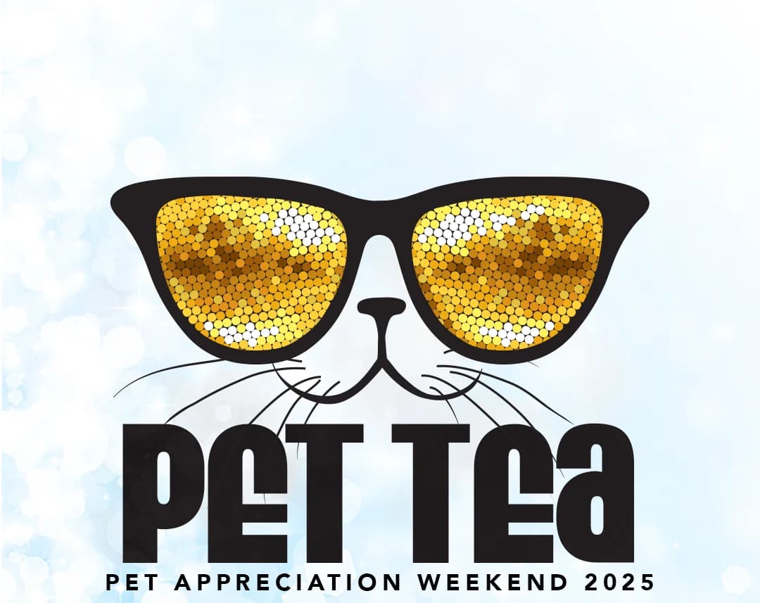 Pet Tea