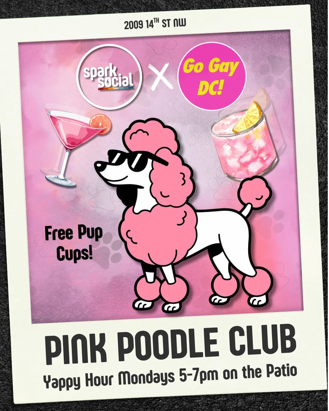 Pink Poodle Club