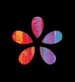 Queer Asterisk